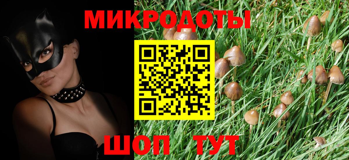 Псилоцибиновые грибы Psilocybe  Вход с VPN  Железногорск 
