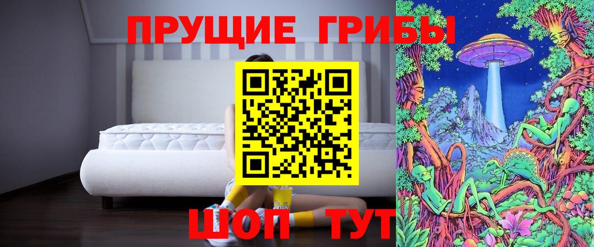 Псилоцибиновые грибы Psilocybe Железногорск