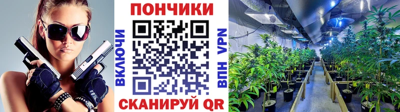 магазин Железногорск shop официальный сайт Бошки марихуана марихуана